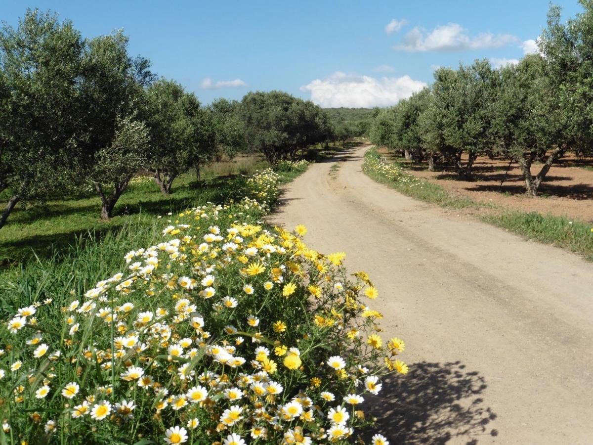 Villa Kornaros Καλαμάκι Εξωτερικό φωτογραφία